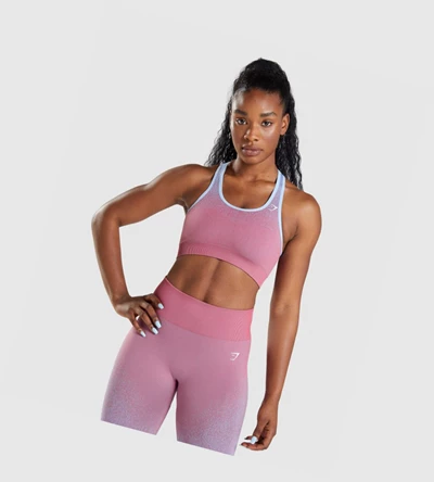 Gymshark Adapt Ombre Seamless Sports Bh Dame Rosa Rosa Lyse Blå | XATQWM249