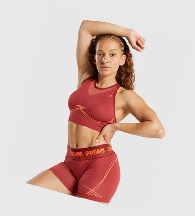 Gymshark Apex Seamless Sports Bh Dame Burgunder | VBAIFS851