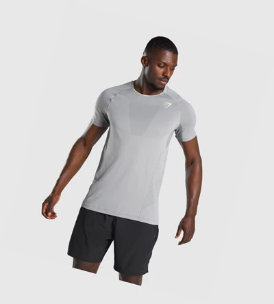 Gymshark Apex Seamless T-skjorte Herre Grå | ERNVZT691