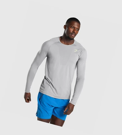 Gymshark Apex Seamless T-skjorte Herre Grå | PDNJZV279