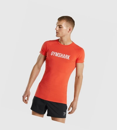 Gymshark Apollo T-skjorte Herre Oransje | AOJYVB489