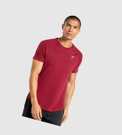 Gymshark Bold T-skjorte Herre Burgunder | QPKOAJ564