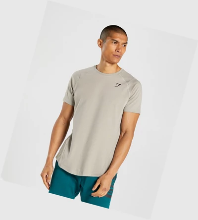 Gymshark Bold T-skjorte Herre Grå | IFVTRJ317