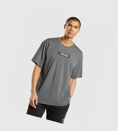 Gymshark Central Oversized T-skjorte Herre Grå | YPFNTD517