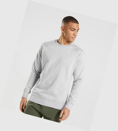 Gymshark Crest Sweatshirt Klær Herre Lyse Grå | FRXLOE206