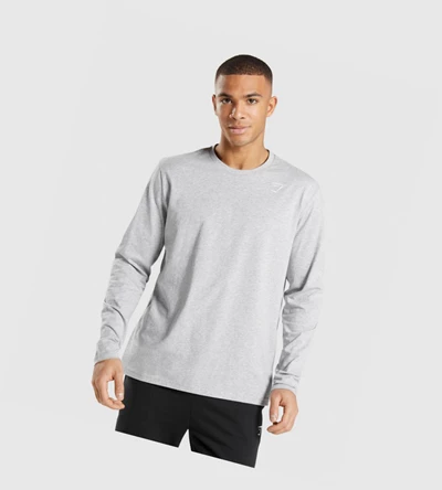 Gymshark Crest T-skjorte Herre Lyse Grå | NGMXAJ628