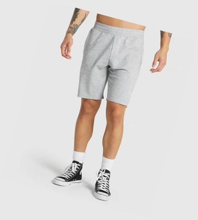 Gymshark Critical 2.0 9" Shorts Herre Lyse Grå | JIUYSA264