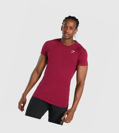 Gymshark Critical 2.0 T-skjorte Herre Burgunder | ZRKAQB716