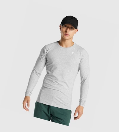 Gymshark Critical 2.0 T-skjorte Herre Lyse Grå | FPKGOU473