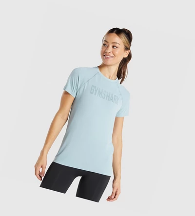 Gymshark Fit Seamless Loose T-skjorte Dame Blå | NUJRIE497