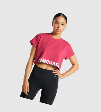 Gymshark Fraction Crop Top Gensere Dame Rosa | MXWAGE803