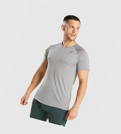 Gymshark Hyper Power T-skjorte Herre Grå | NUEFRL827