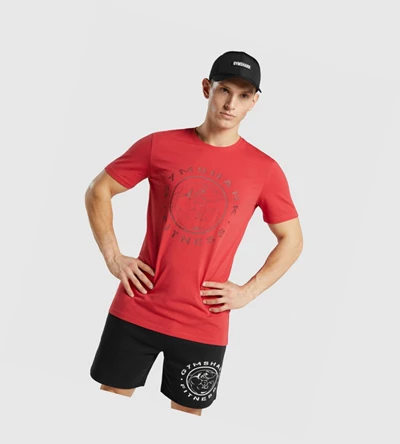 Gymshark Legacy T-skjorte Herre Rød | CLSOBT769