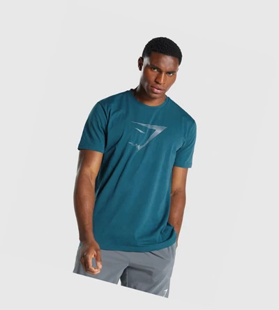 Gymshark Sharkhead Infill T-skjorte Herre Turkis | PXCSYH487