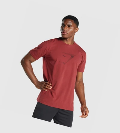 Gymshark Sharkhead Infill T-skjorte Herre Burgunder | UYLXOR823