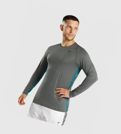 Gymshark Sports T-skjorte Herre Grå | TINGHW547