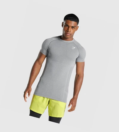 Gymshark Vital Light Seamless T-skjorte Herre Grå | JDXSAQ716