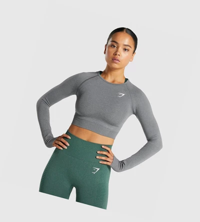 Gymshark Vital Seamless 2.0 Crop Top Gensere Dame Grå | QOTZSV287