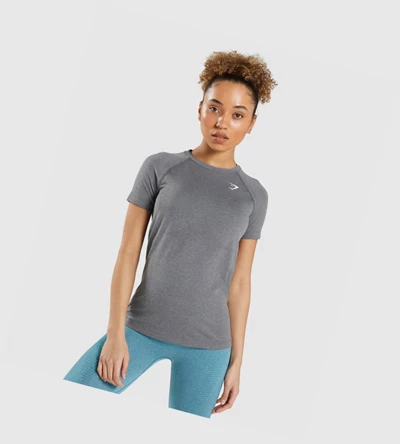 Gymshark Vital Seamless 2.0 Light T-skjorte Dame Grå | RCDPYA718