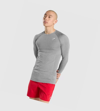 Gymshark Vital Seamless T-skjorte Herre Grå | LAGTMR306