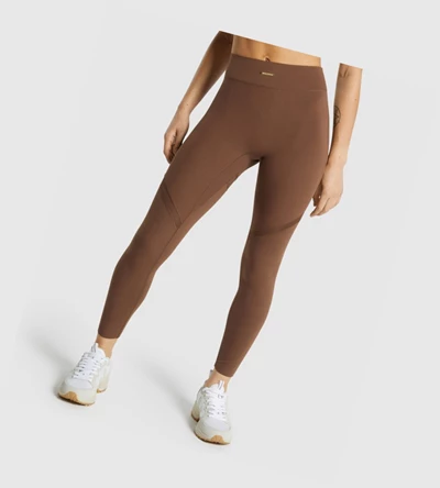 Gymshark Whitney Mesh High Waisted Leggings Dame Brune | EVQLMS257