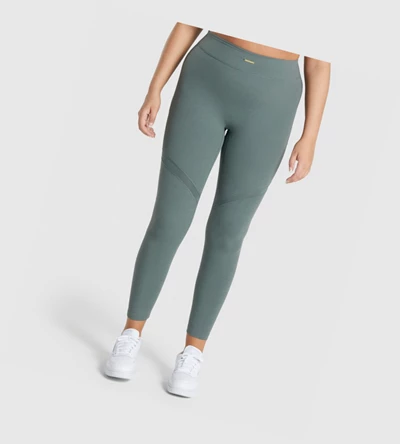 Gymshark Whitney Mesh High Waisted Leggings Dame Grønn | OCHTRP075