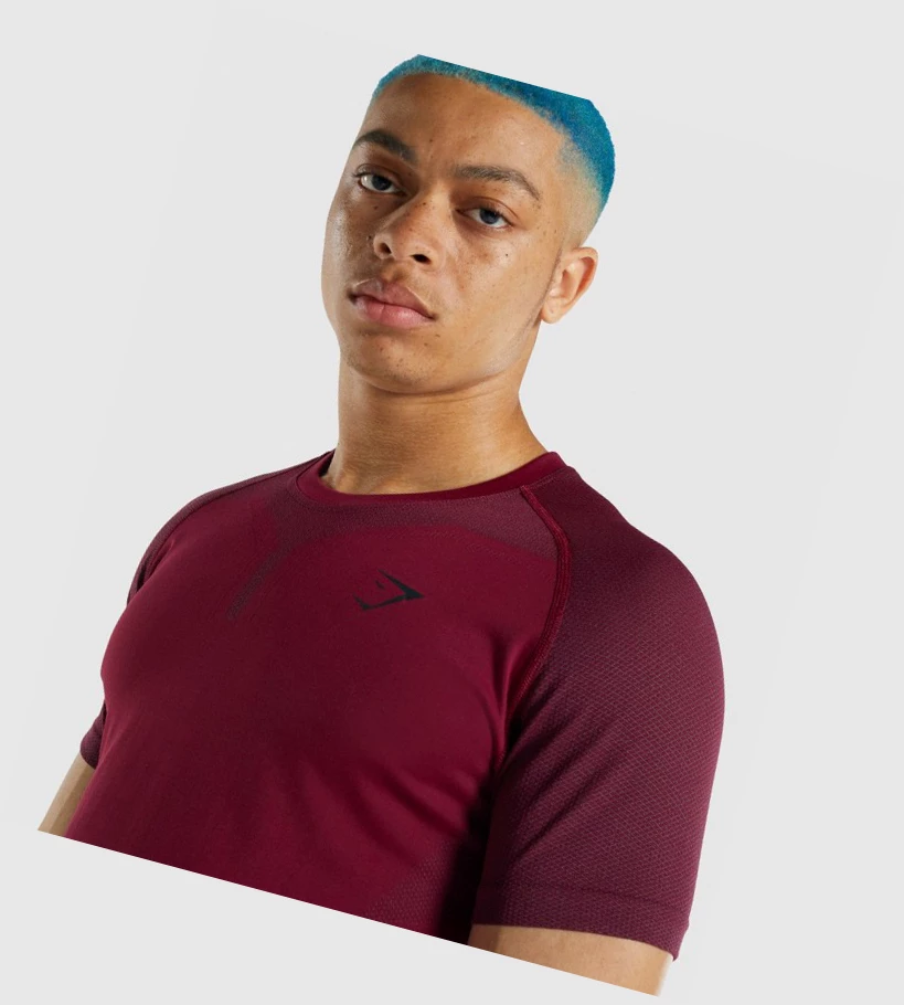 Gymshark 315 T-skjorte Herre Burgunder | RWUIEJ957