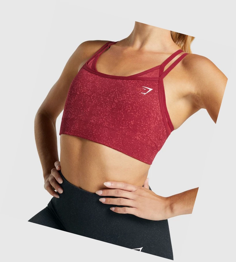 Gymshark Adapt Fleck Seamless Sports Bh Dame Burgunder | VJSCQW319