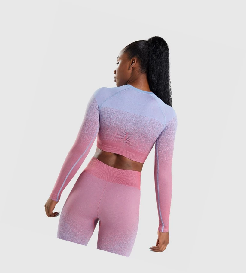 Gymshark Adapt Ombre Seamless Crop Top Gensere Dame Rosa Rosa Lyse Blå | GAEBKP789