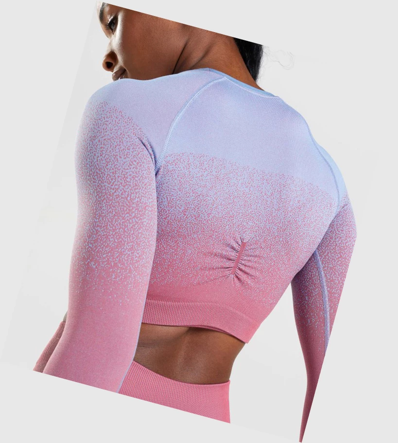 Gymshark Adapt Ombre Seamless Crop Top Gensere Dame Rosa Rosa Lyse Blå | GAEBKP789