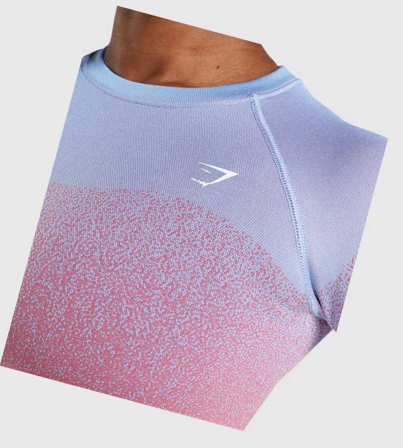 Gymshark Adapt Ombre Seamless Crop Top Gensere Dame Rosa Rosa Lyse Blå | GAEBKP789