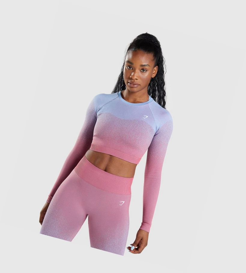 Gymshark Adapt Ombre Seamless Crop Top Gensere Dame Rosa Rosa Lyse Blå | GAEBKP789