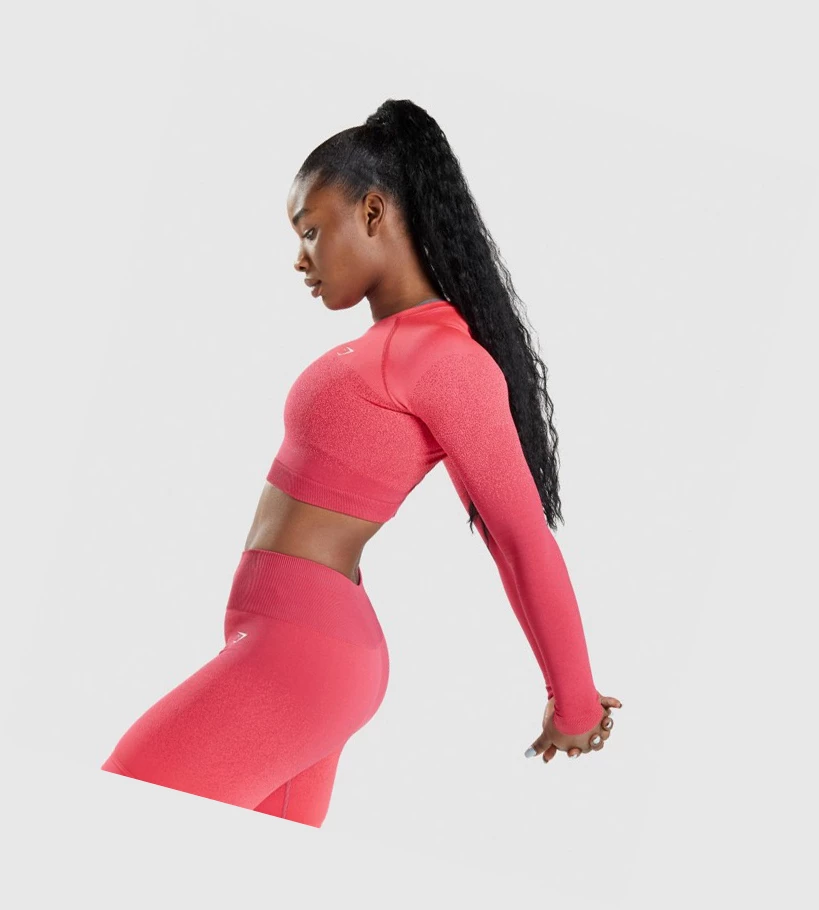 Gymshark Adapt Ombre Seamless Crop Top Gensere Dame Rosa Rød | NWBUEI341