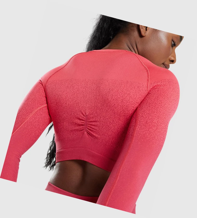 Gymshark Adapt Ombre Seamless Crop Top Gensere Dame Rosa Rød | NWBUEI341