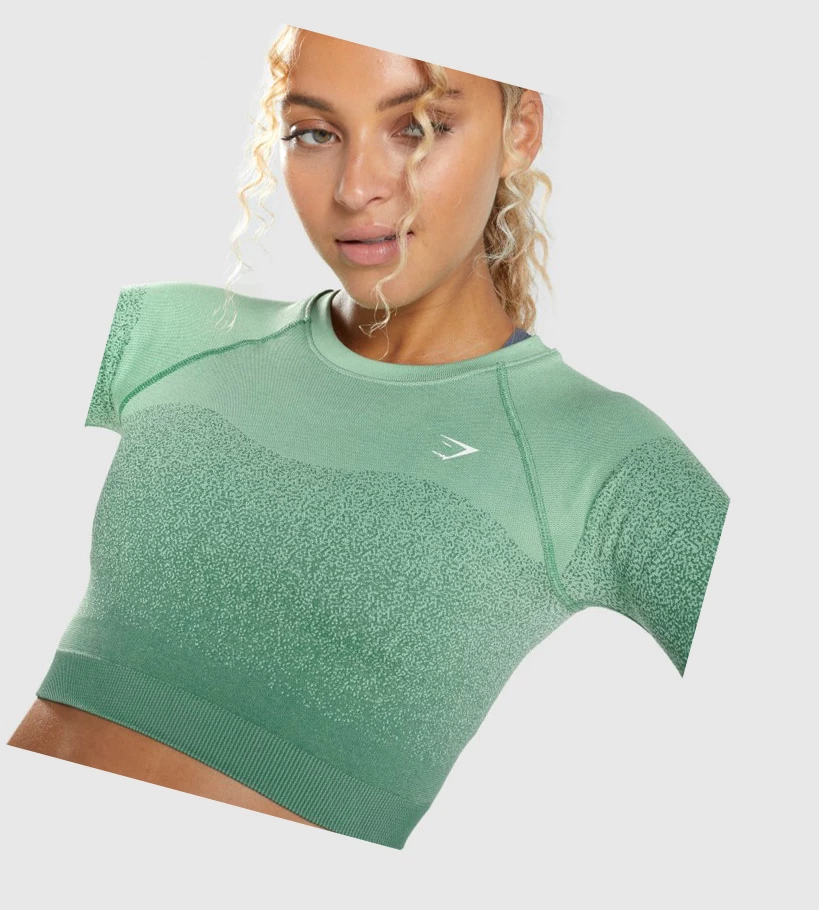 Gymshark Adapt Ombre Seamless Crop Top Gensere Dame Grønn Lyse Grønn | VLTMSC819