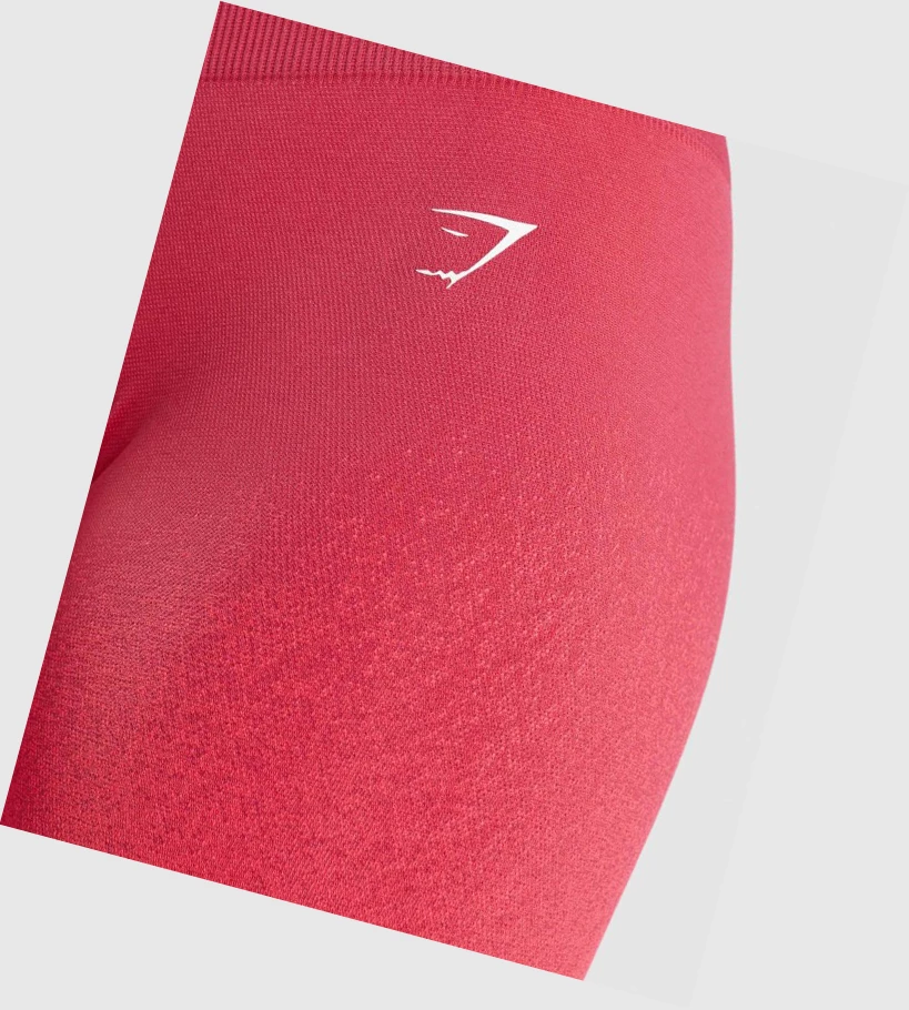 Gymshark Adapt Ombre Seamless Cycling Shorts Dame Rosa Rød | DJURGQ457