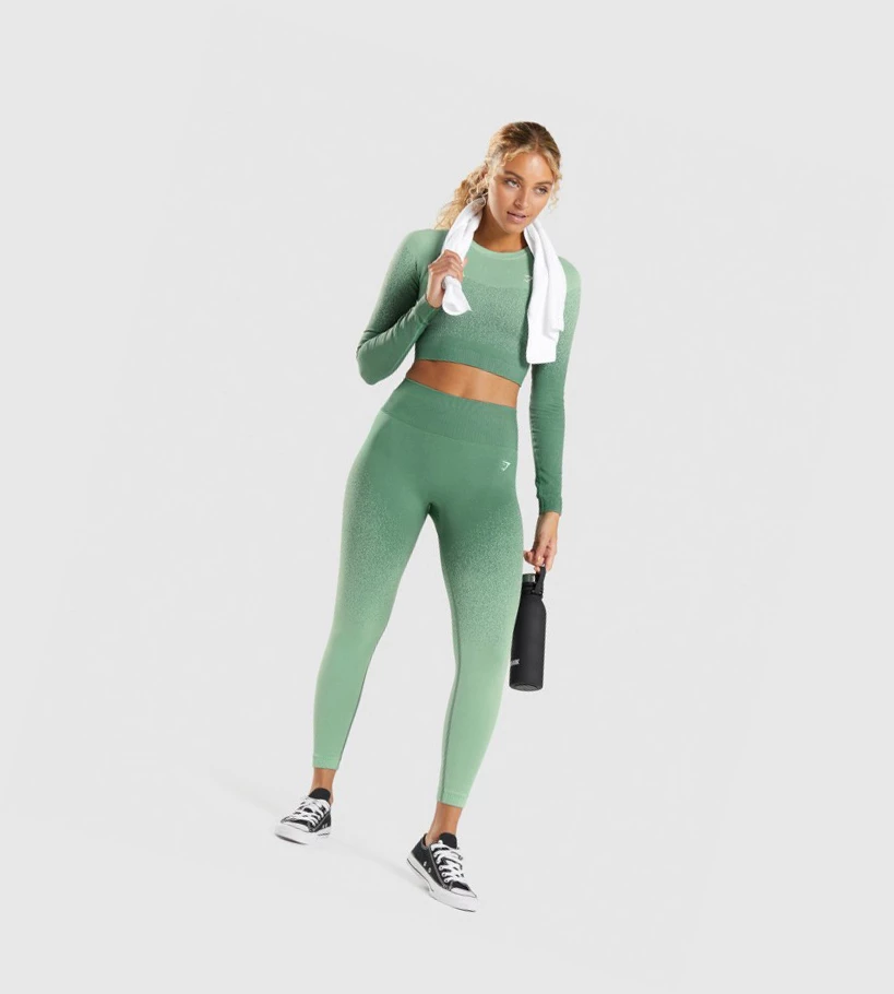 Gymshark Adapt Ombre Seamless High Waisted Leggings Dame Grønn Lyse Grønn | WJQKAT074