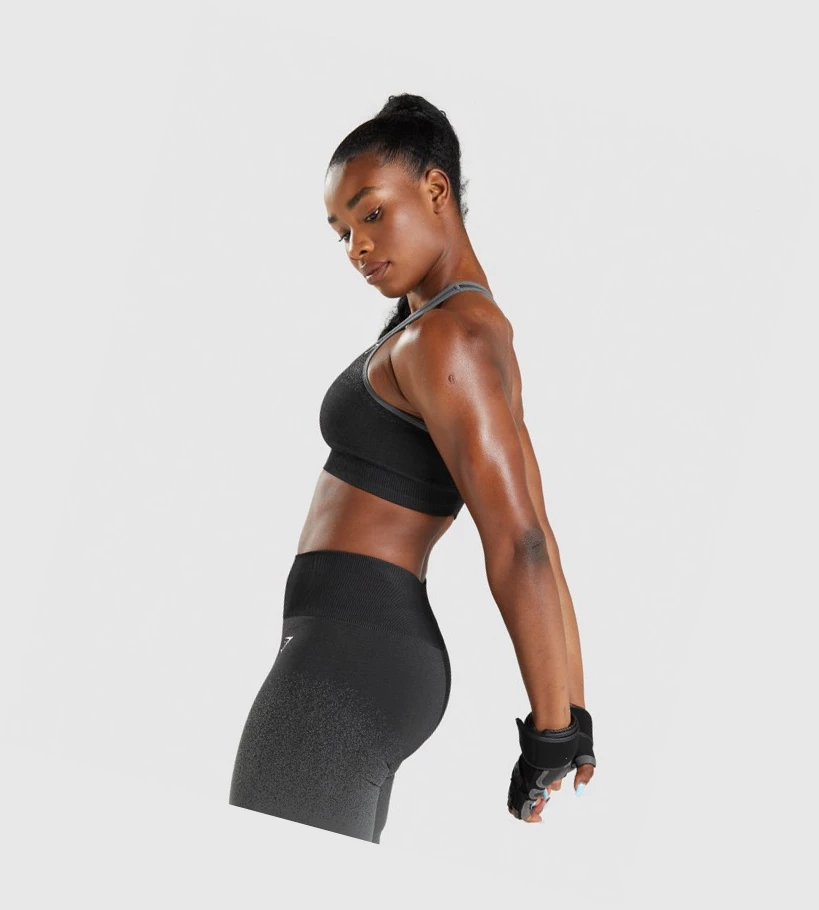 Gymshark Adapt Ombre Seamless Sports Bh Dame Svarte Grå | JKPBOE508