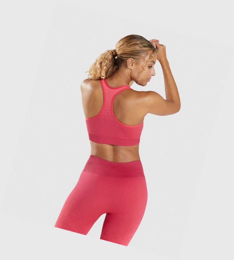 Gymshark Adapt Ombre Seamless Sports Bh Dame Rosa Rød | NEYMBH903