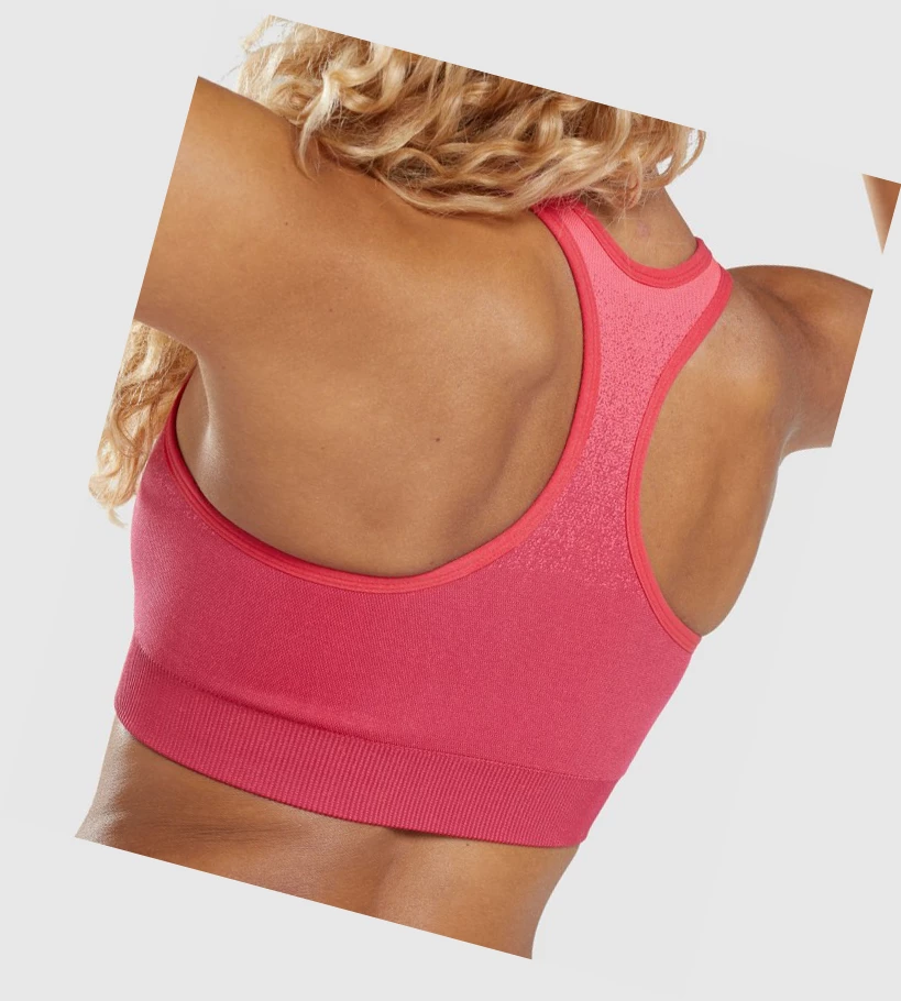 Gymshark Adapt Ombre Seamless Sports Bh Dame Rosa Rød | NEYMBH903