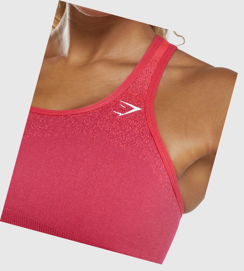 Gymshark Adapt Ombre Seamless Sports Bh Dame Rosa Rød | NEYMBH903