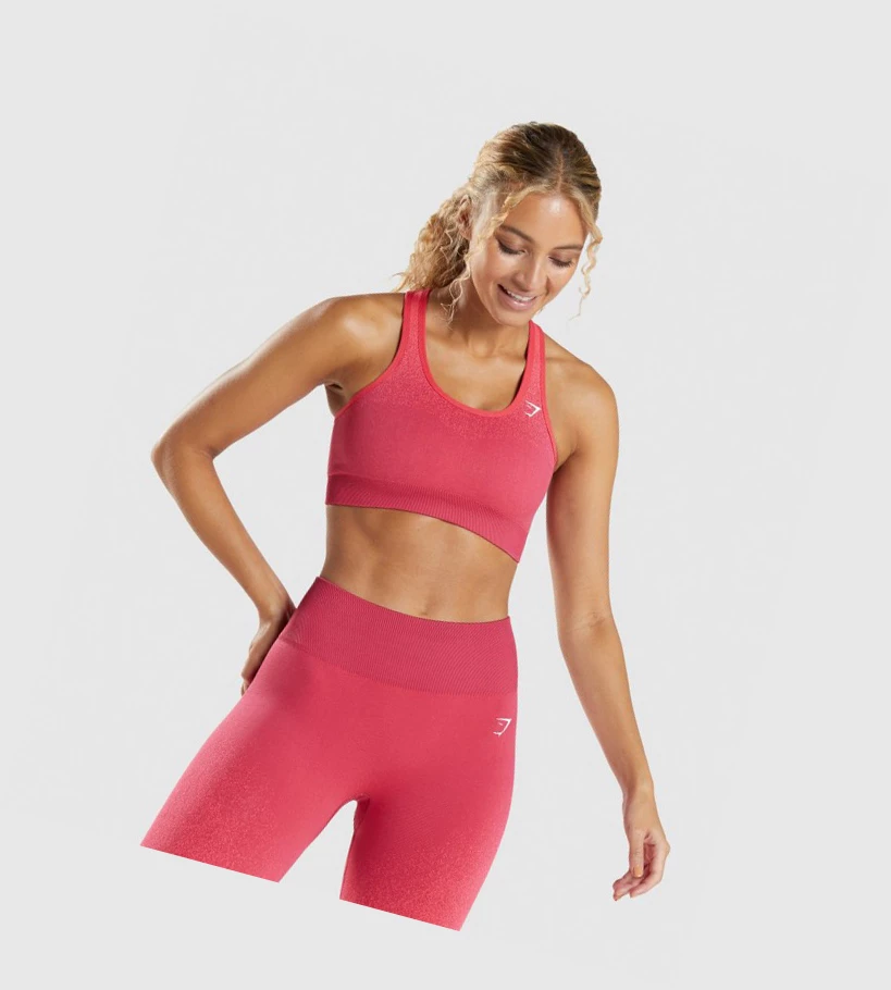 Gymshark Adapt Ombre Seamless Sports Bh Dame Rosa Rød | NEYMBH903