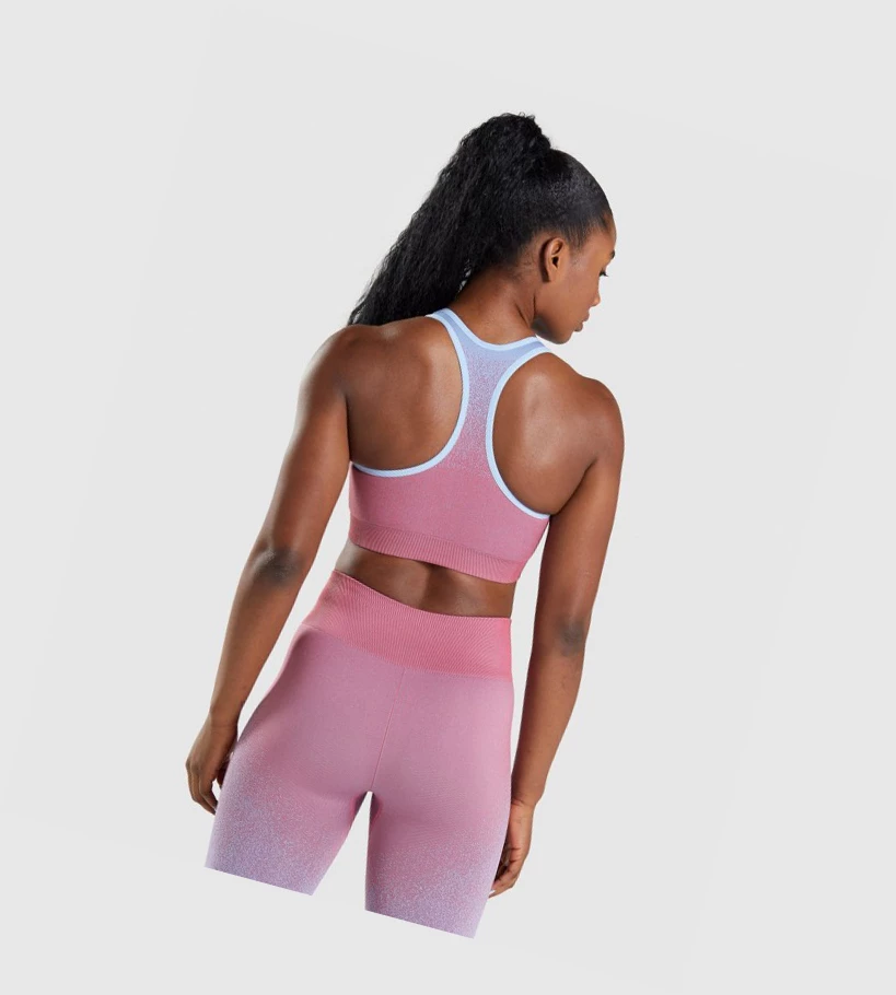 Gymshark Adapt Ombre Seamless Sports Bh Dame Rosa Rosa Lyse Blå | XATQWM249