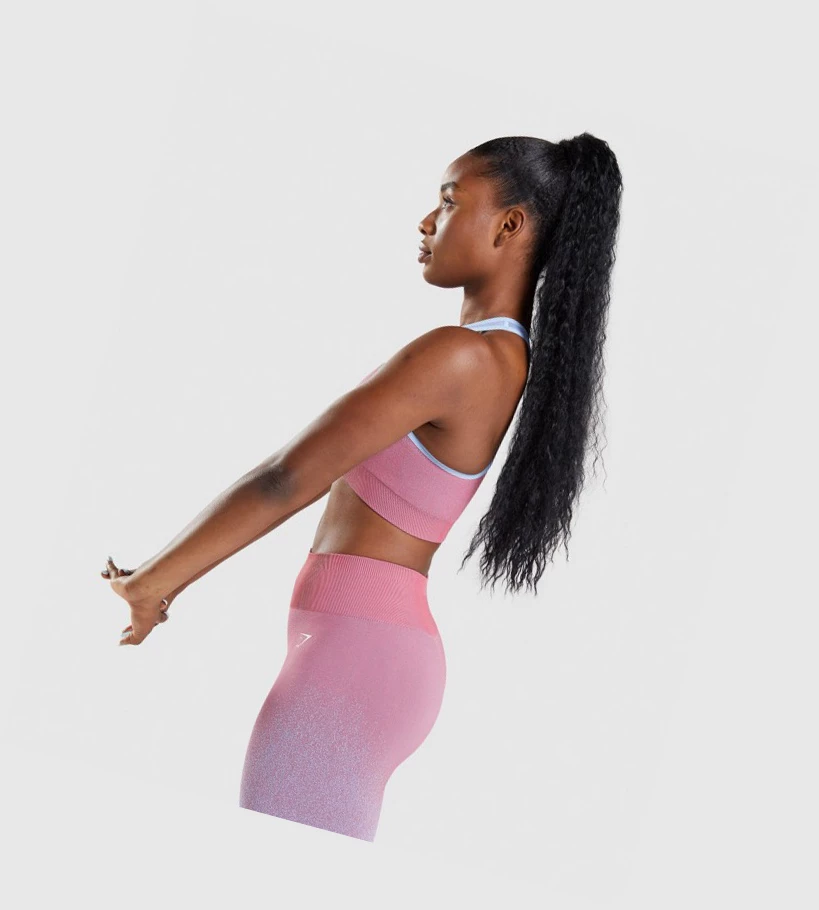 Gymshark Adapt Ombre Seamless Sports Bh Dame Rosa Rosa Lyse Blå | XATQWM249