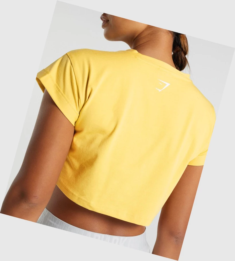 Gymshark Animal Grafiske Infill Crop T-skjorte Dame Gul | IOCFKX607