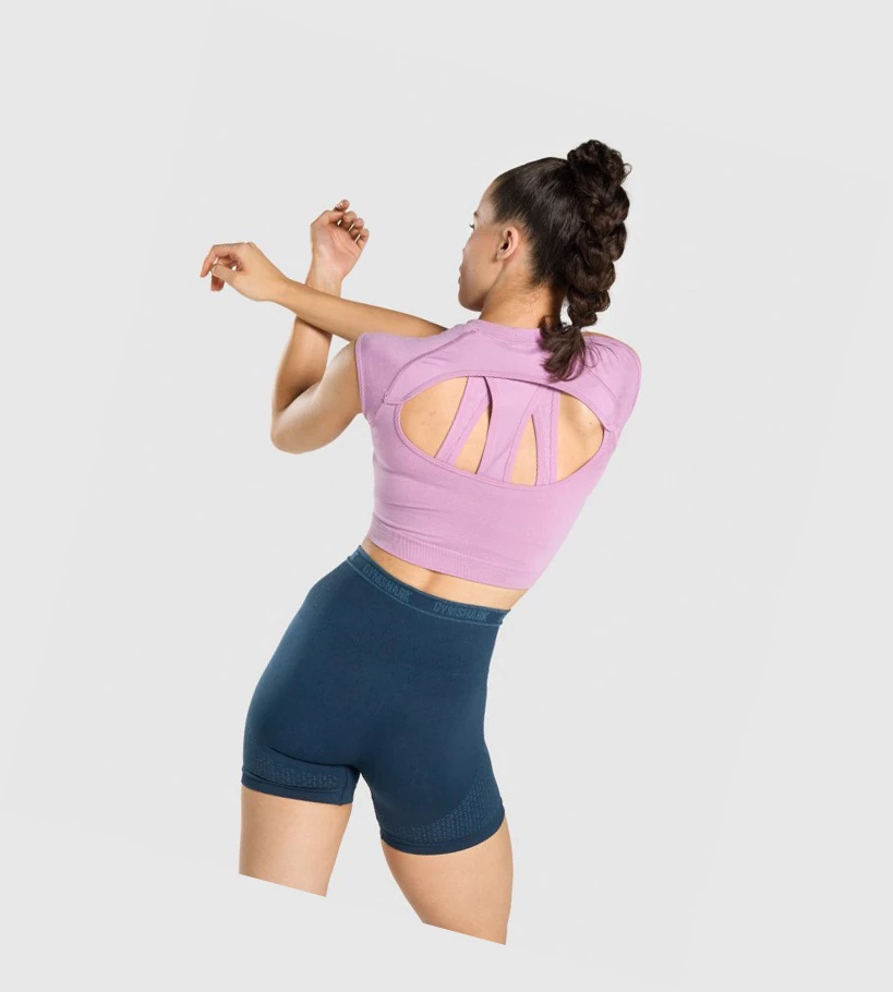 Gymshark Apex Seamless Crop Top Gensere Dame Lilla Lyse Lilla | OAVUHP825