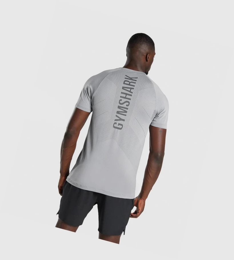 Gymshark Apex Seamless T-skjorte Herre Grå | ERNVZT691