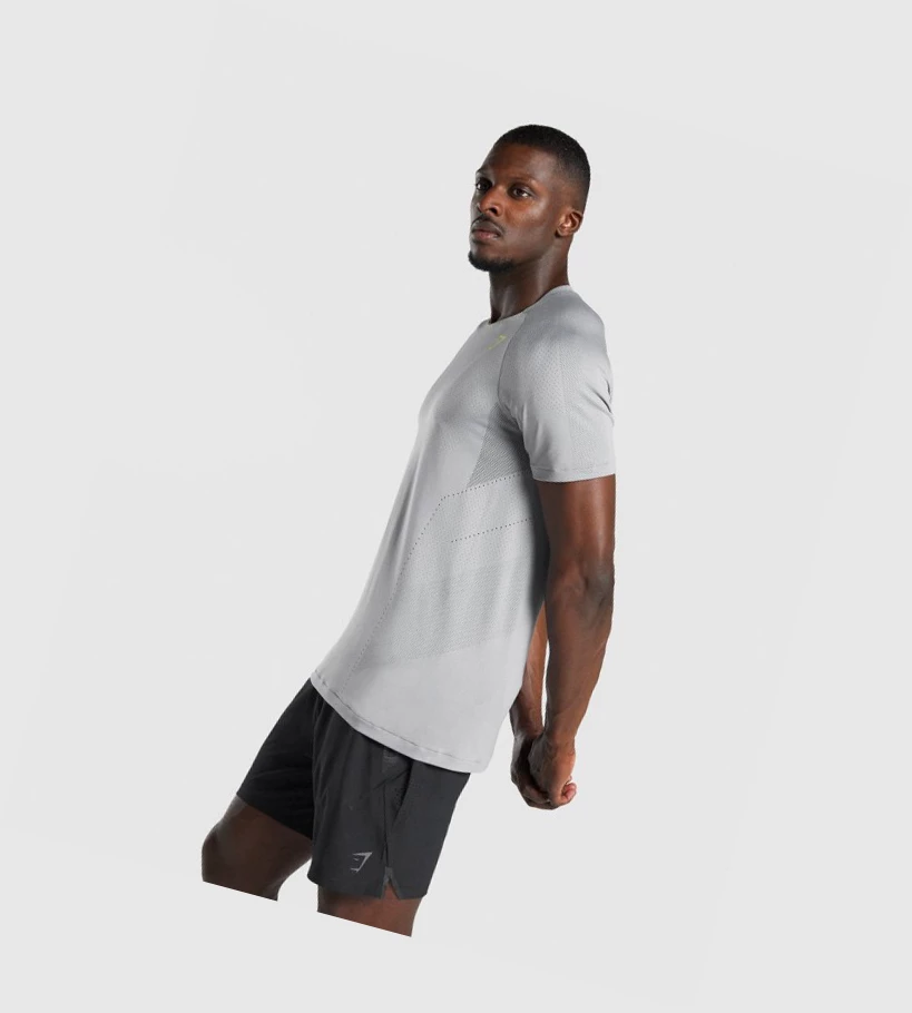 Gymshark Apex Seamless T-skjorte Herre Grå | ERNVZT691