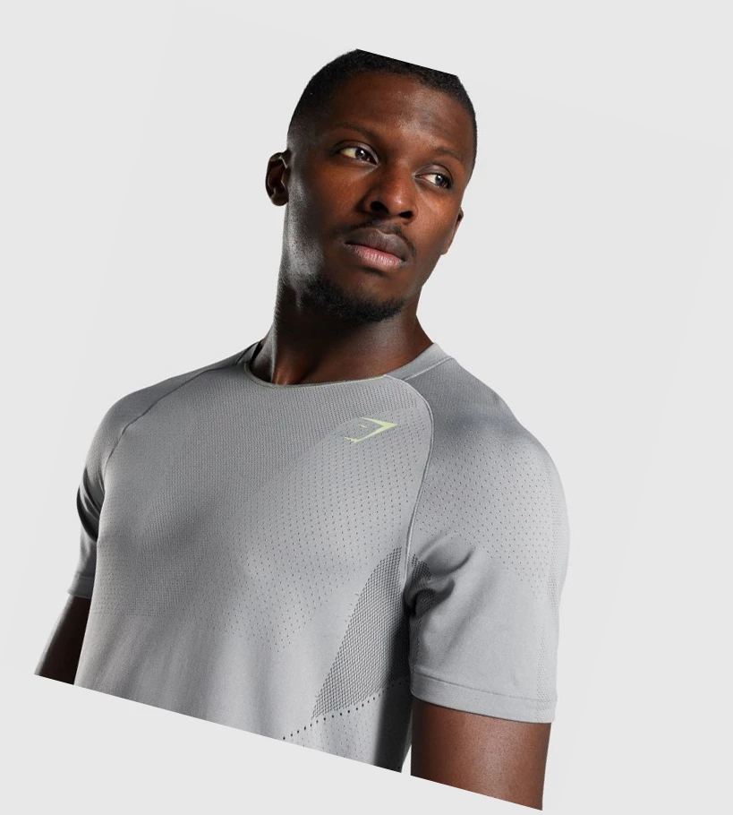 Gymshark Apex Seamless T-skjorte Herre Grå | ERNVZT691