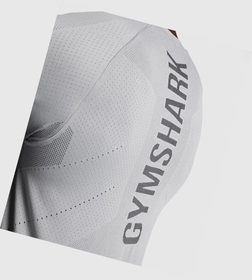 Gymshark Apex Seamless T-skjorte Herre Grå | ERNVZT691